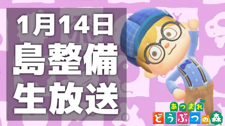 【あつ森】最後の仕上げ！島を完成させよう【あつまれどうぶつの森】1月14日島整備生放送