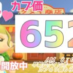 カブ価652ベル 島開放中！ あつまれどうぶつの森