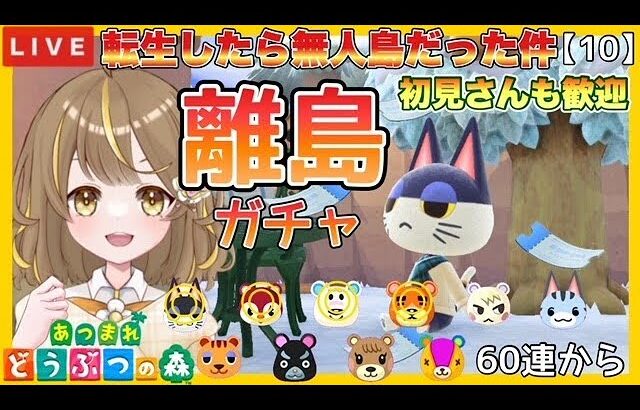 【あつ森】  転生したら無人島だった件 part10 | 　離島ガチャ　ライブ配信　住民厳選　【あつまれどうぶつの森/生配信】　【AnimalCrossing】　蜜姫ちっち🌼🍯