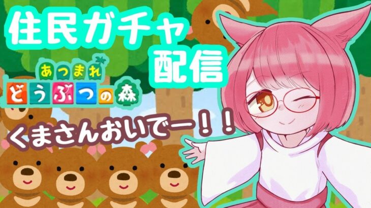 【まったり配信】住民ガチャくまさんよ！こい！【あつまれどうぶつの森】初見さん大歓迎