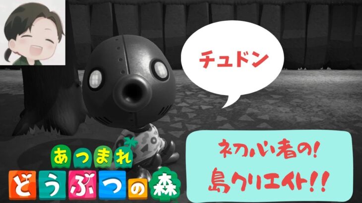 『あつまれどうぶつの森』寝起きです…初心者が奮闘する島クリエイト！マイデザ＆ハピパラもあるかも…【初見さん歓迎】