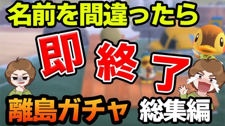 【あつ森】名前を間違ったら即終了離島ガチャ総集編【あつまれ どうぶつの森】【ぽんすけ】