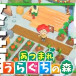 【あつ森】せっせこ進める島クリエイター雑談の森【配信】