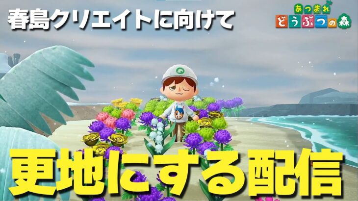 【あつ森】春島の島クリに向けて更地にする！#1【島クリエイター】【ライブ配信】