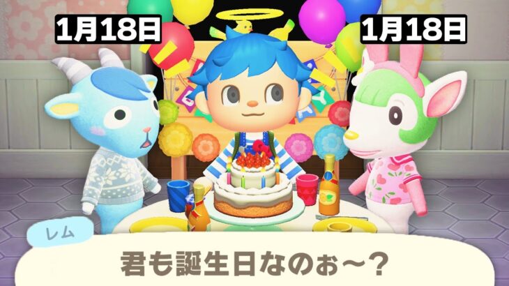 誕生日が同じ日の住民が2人いたらどっちの誕生会をするのか？【あつ森 / あつまれどうぶつの森】「小ネタ検証」