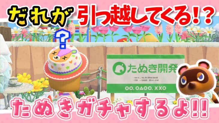 【あつ森】たぬきガチャの結果をみんなde見たい!!パッチはくるのか！？【あつまれどうぶつの森】ゲーム実況【 離島ガチャ / 住民厳選 】