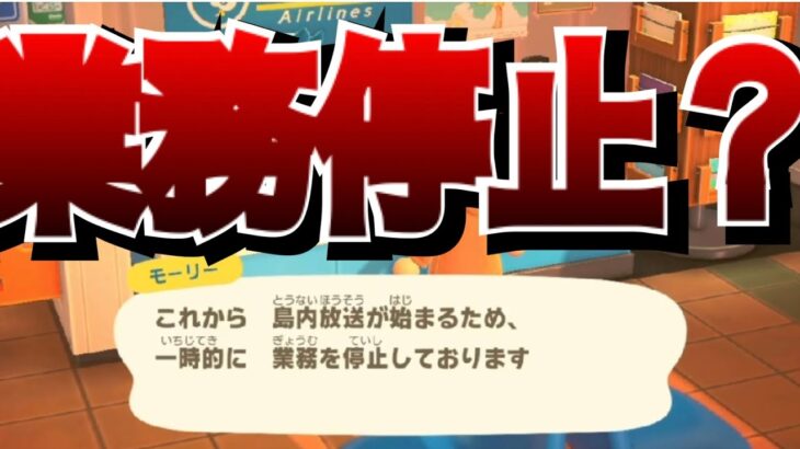 [あつ森]ズル無し！ドードーエアーズの飛行機が、業務停止になる方法！？