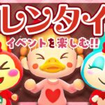 【あつ森】バレンタインイベントを全力で楽しむ🍫💕【あつまれどうぶつの森 | ライブ】