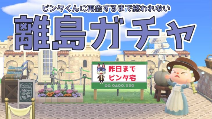 【離島ガチャ】間違えて送り出した最推しビンタくんに再会できるまで終われません2！【あつ森・耐久】