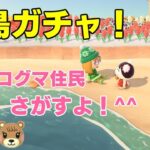 あそくら家の巣🐼🐻✨【◇6】あつまれどうぶつの森 を配信します！！【離島ガチャ】