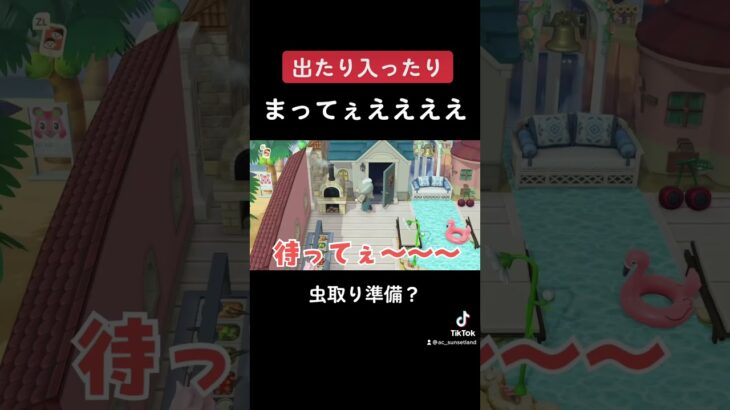 【あつ森TikTok集】でたりはいったりハムスケ//Animal Crossing my island ＃shorts