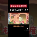 【あつ森TikTok集】消えたロビンくん、瞬間移動！？//Animal Crossing my island ＃shorts