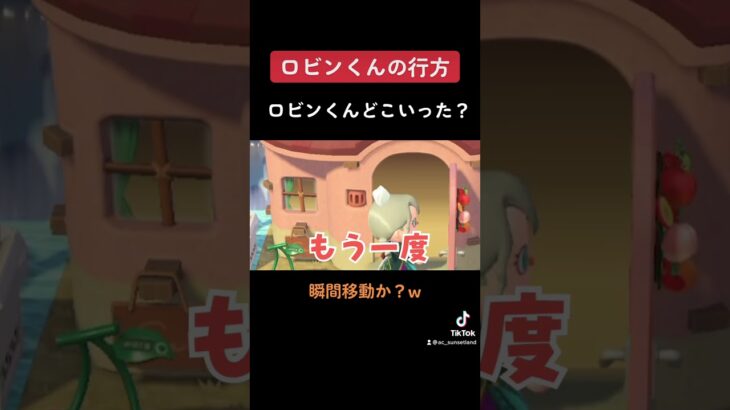 【あつ森TikTok集】消えたロビンくん、瞬間移動！？//Animal Crossing my island ＃shorts