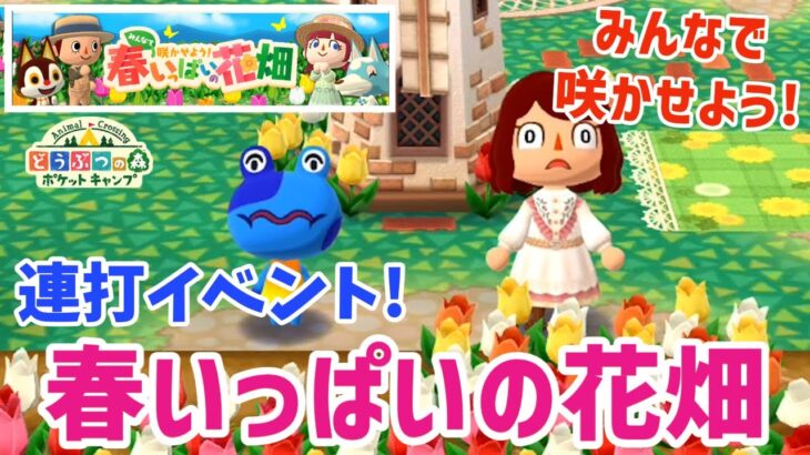 【ポケ森】連打イベント再び！みんなで咲かせよう 春いっぱいの花畑【どうぶつの森ポケットキャンプ】 無課金