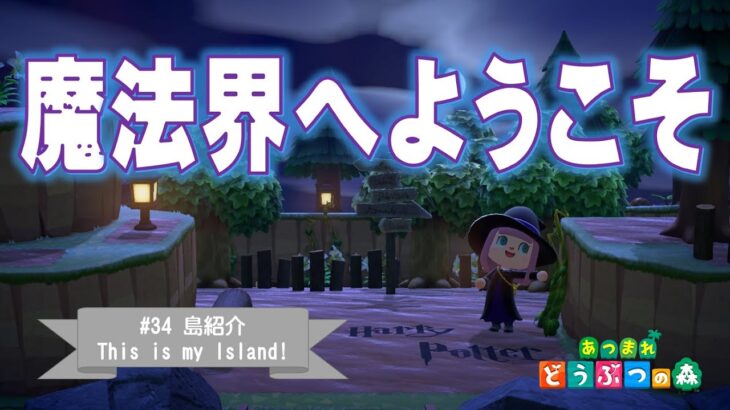 【あつ森】完成したので、島の紹介動画作ってみました♡【島クリエイト】～第34弾～