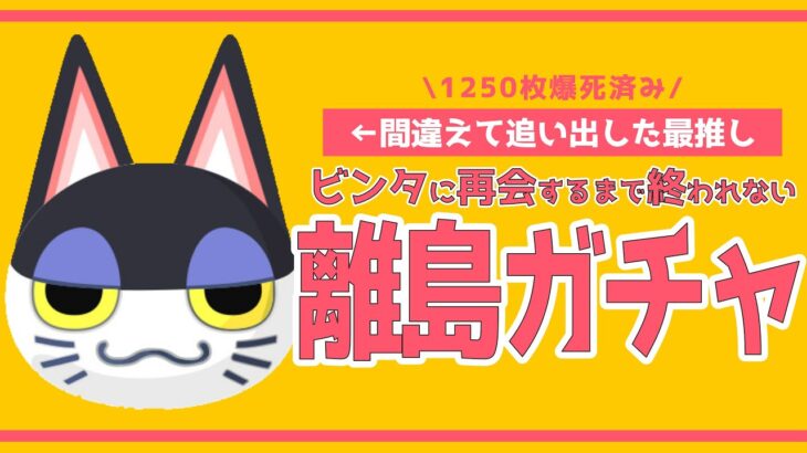 【離島ガチャ】間違えて送り出した最推しビンタくんに再会できるまで終われません6！【あつ森・耐久】