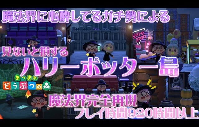 【あつ森】魔法界完全再現🪄ハリポタガチ勢が920時間以上かけてつくったハリーポッター島がヤバすぎる🦉💌⚡️