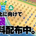 【あつ森】更地化に向けて謎袋無料配布中！