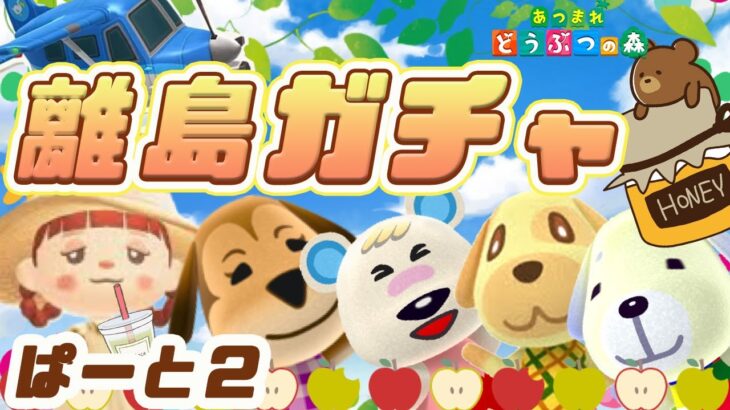 【あつ森ライブ配信中】狙いの住民ちゃん探しに離島ガチャ🐝💕みんなと交流会もするよ♪【あつまれどうぶつの森】