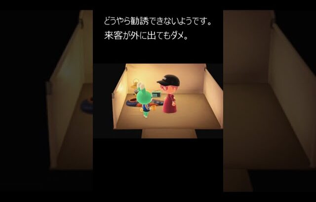 【あつ森小ネタ第5弾】amiiboで呼び出した住民で色々実験してみた #Shorts