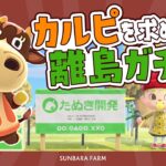 【 あつ森  】離島ガチャでカルピに出会おう🐮🍊 サブ島生活8日目【 あつまれどうぶつの森 】