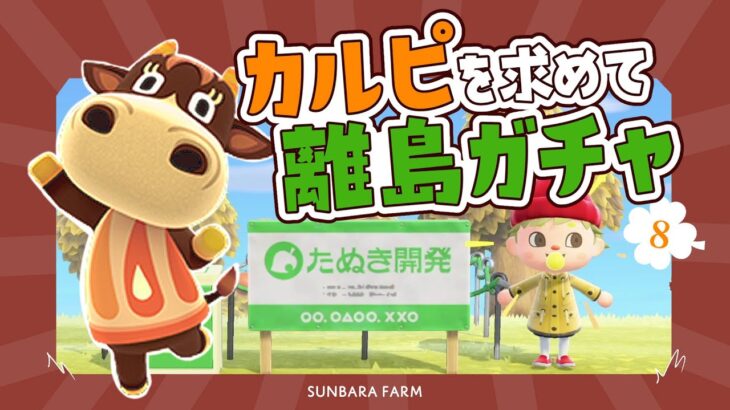 【 あつ森  】離島ガチャでカルピに出会おう🐮🍊 サブ島生活8日目【 あつまれどうぶつの森 】