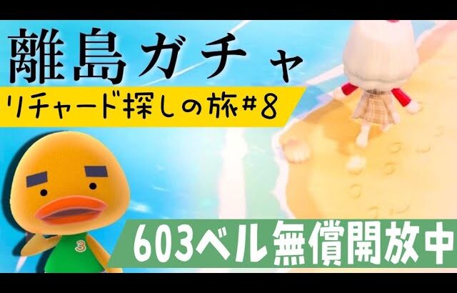 【あつ森】離島ガチャ🎈#８　リチャードくんに会いに行く🐣カブ価６０３ベル💰【視聴者参加型】