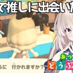 #15【 あつ森 】離島ガチャ 最大20連 必ずスカウトします🌴【 #新人Vtuber  #立花うさ 】あつまれどうぶつの森 ライブ 生配信