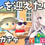 #22【 あつ森 】最大30連 離島ガチャ 🛫🌴 必ずスカウトします♥【 #新人Vtuber  #立花うさ 】あつまれどうぶつの森 ライブ 生配信