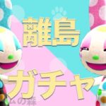 【あつ森ライブ配信】離島ガチャ【あつまれどうぶつの森】