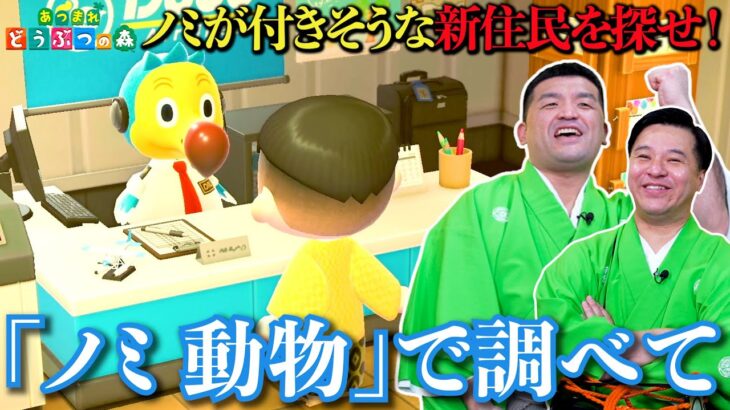 【あつ森】ノミが付きやすそうな新住民を離島で探してみた！【 あつまれどうぶつの森 】