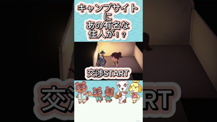 【キャンプサイト厳選】#あつ森 #あつまれどうぶつの森 #どうぶつの森 #2023 #games #shorts #short #nintendo #任天堂 #離島ガチャ #キャンプサイト厳選