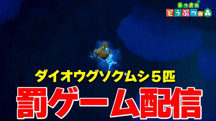 【あつ森】参加型ダイオウグソクムシ5匹取る【ライブ配信】