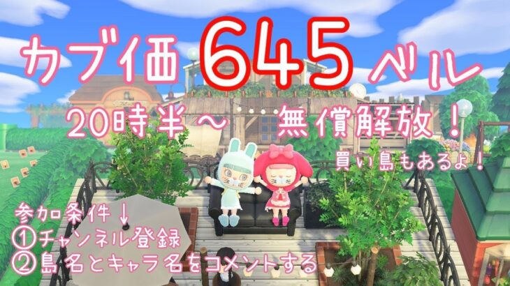 【あつ森 】645ベルカブ配布配信！概要欄絶対よんでね！#7