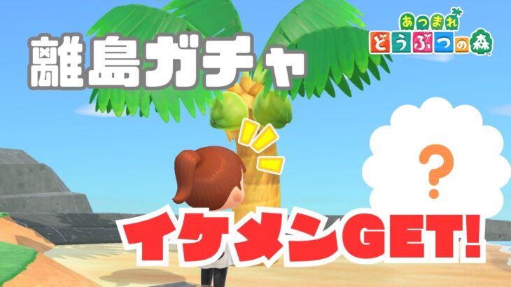 【あつ森】離島ガチャでイケメンGET!目指せイケメン島#７０