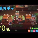 【あつ森】離島ガチャ７０連！！お目当てORうさぎきて～！No.129