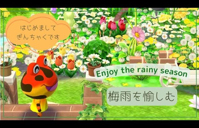 ポケ森acpc🐸はじめましてのご挨拶＆6月のイベントアイテムで梅雨レイアウト☂️