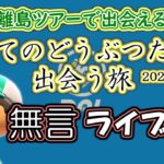 【あつ森】すべてのどうぶつたちに出会う旅　２０２３年度３回目（通算４２回目）～無言ライブ配信【離島ツアー】あつまれどうぶつの森｜離島ガチャ｜