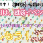 【あつ森】＃254 、謎袋イベント！初見さんもぜひ！配信✨【あつまれ どうぶつの森】500日以上毎日連続配信！！