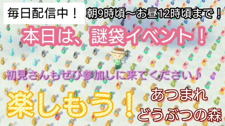 【あつ森】＃254 、謎袋イベント！初見さんもぜひ！配信✨【あつまれ どうぶつの森】500日以上毎日連続配信！！