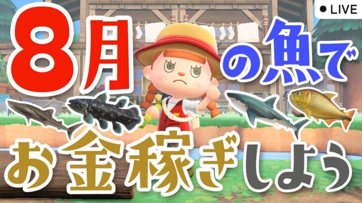 【あつ森配信】8月の魚でお金稼ぎしようライブ【あつまれ どうぶつの森】