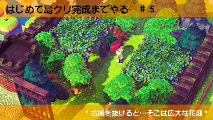 【島クリ】挫折ばかりのふたろうがはじめて完成まで作る　#5【あつ森】古城を抜けると…そこは広大な花畑