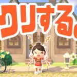 【9/20】あつ森島クリエイト生配信！　#あつまれどうぶつの森 #あつ森 | animal crossing new horizon