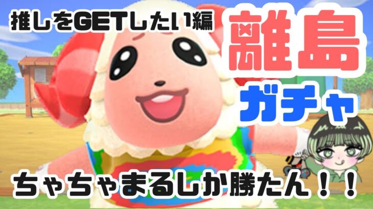 【あつ森　離島ガチャ】離島ガチャで推しをGETしたい③≪初見さん大歓迎！！≫