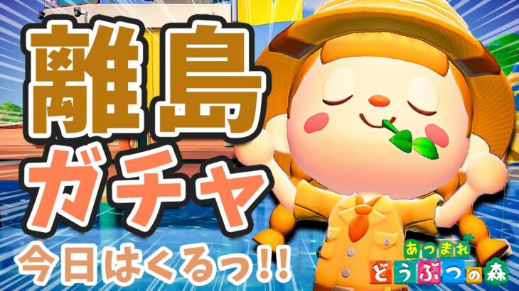 【あつ森】今日はくるっ！離島ガチャ✈️あの子に逢いにいきます【新生活】