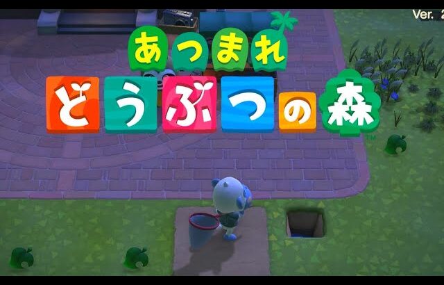 【あつまれどうぶつの森】ハッピーホームパラダイス＃2