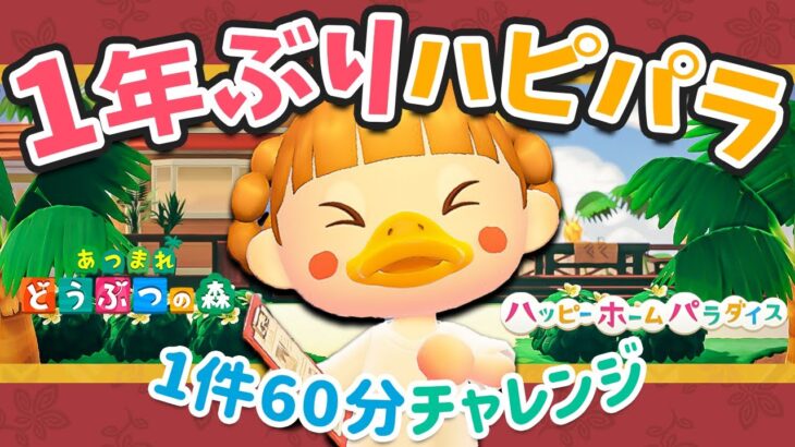 【あつ森】”１年ぶり”のハピパラ！60分チャレンジ🏠✨新情報もあり！【ハッピーホームパラダイス】