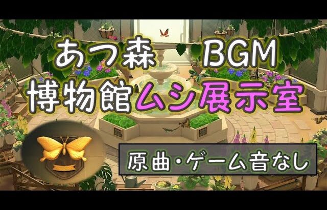 あつまれどうぶつの森 BGM『博物館ムシ展示室』【ゲーム音なし／原曲／高音質】１時間　作業用・勉強・入眠　BGM