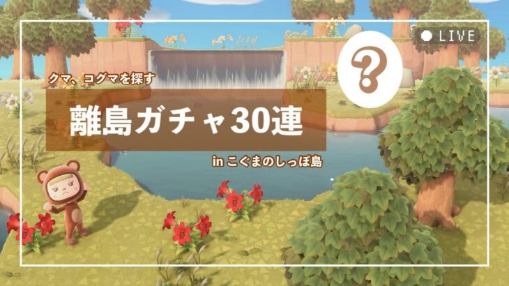 【あつ森】 くま 🐻‍ こぐま住民を求めて30連 ✈️ 離島ガチャ【こぐまのしっぽ島】