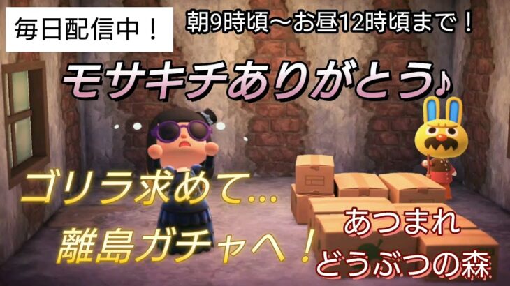 【あつ森】＃337、モサキチまたねっ！ゴリラ住民を求めて、離島ガチャします！配信✨【あつまれ どうぶつの森】650日以上毎日連続配信！！